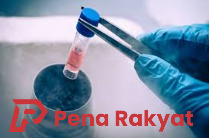 Stem Cell, Terobosan Medis RSUD Blambangan untuk Tingkatkan Kualitas Layanan