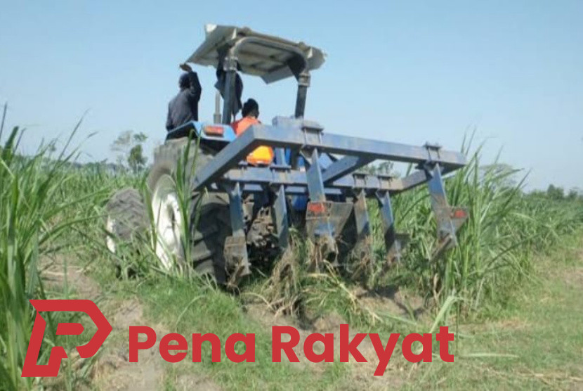 Jawab Keluhan Warga, Manajer Kebun Tidak Ada Aktivitas Traktor