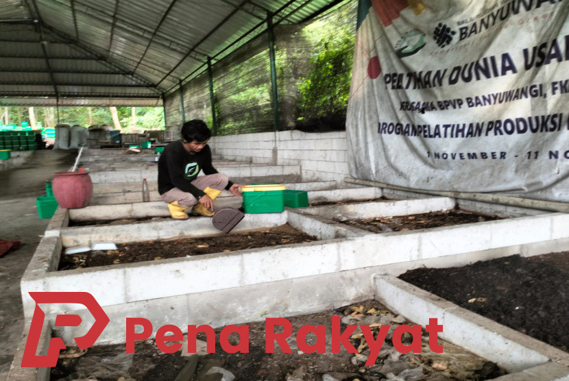 Kelompok PEGA Pesanggaran Banyuwangi Torehkan Tinta Emas