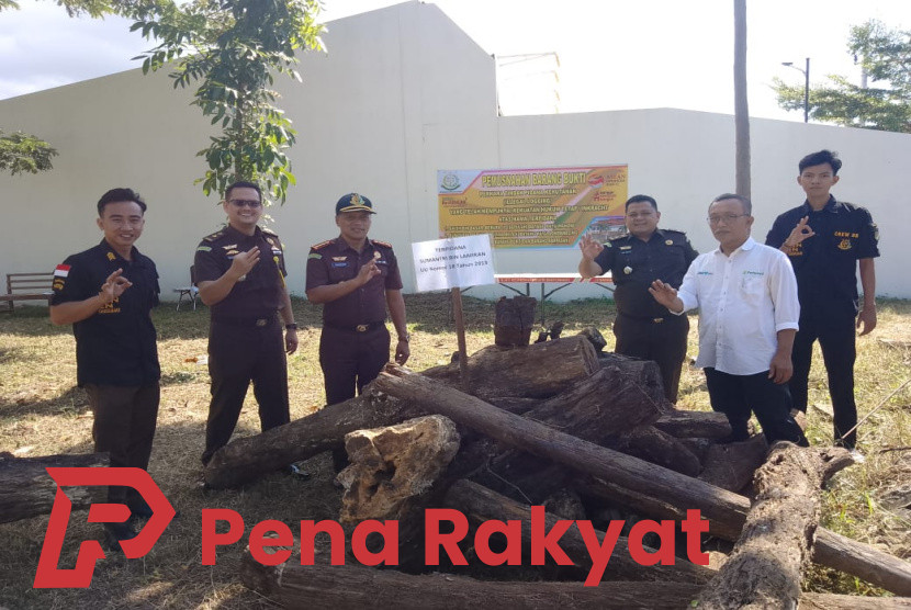 Puluhan Kayu Ilegal Logging Dibakar Kejaksaan Banyuwangi 