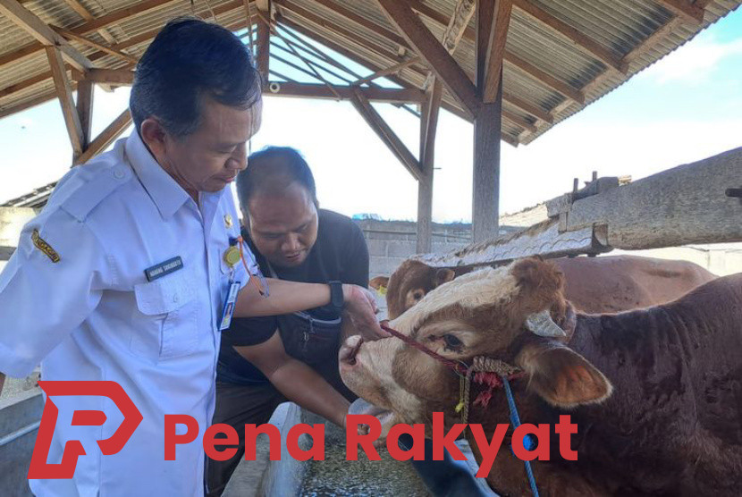 Komitmen Dispertan Banyuwangi Tanggulangi Penyebaran PMK dan LSD